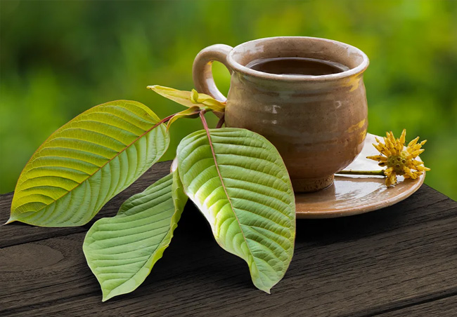 The action of kratom